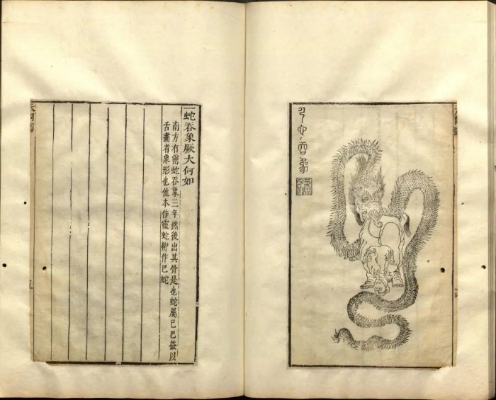 “人心不足蛇吞象”，蛇嘴为什么能张那么大？