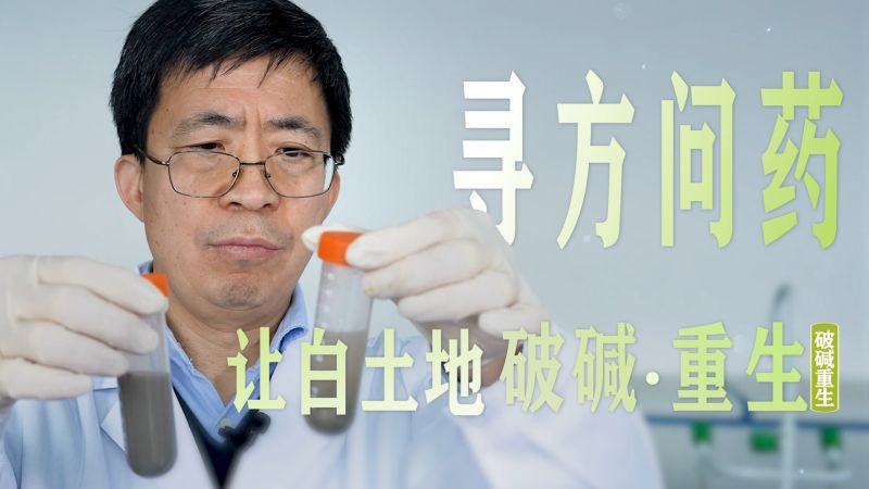 【大国粮策】寻方问药，让白土地破“碱”重生